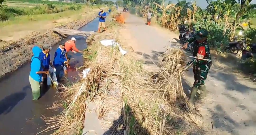 TNI Bersama UPT PSDA dan Warga Bersihkan Saluran Irigasi, Dukung Kelancaran Pertanian di Suboh